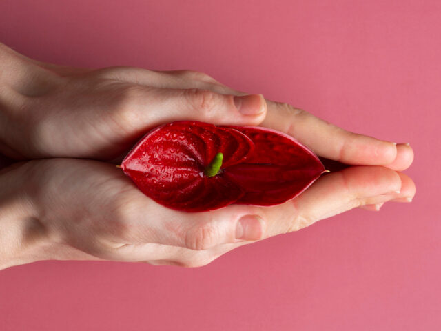 How Non-Surgical Labiaplasty Can Improve Intimacy and Self-Esteem