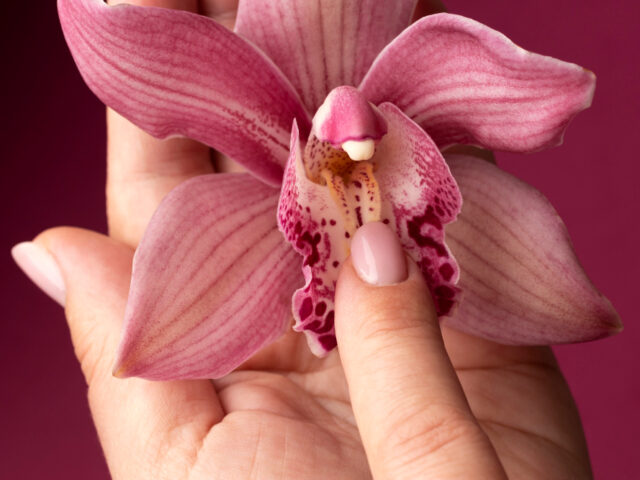 Why Non-Surgical Labiaplasty Is One of New York’s Top Feminine Wellness Trends for 2025