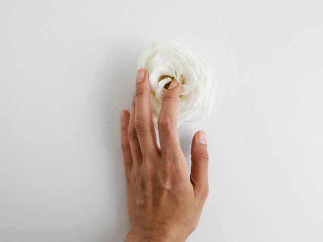 Modern Labiaplasty Options: The Upper East Side Manhattan Clinics Leading the Way