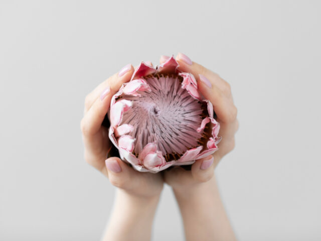 How to Reduce Labia Discomfort, Irritation, and Chafing: What Women Should Know
