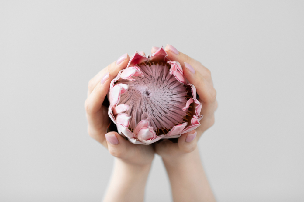 How to Reduce Labia Discomfort, Irritation, and Chafing: What Women Should Know