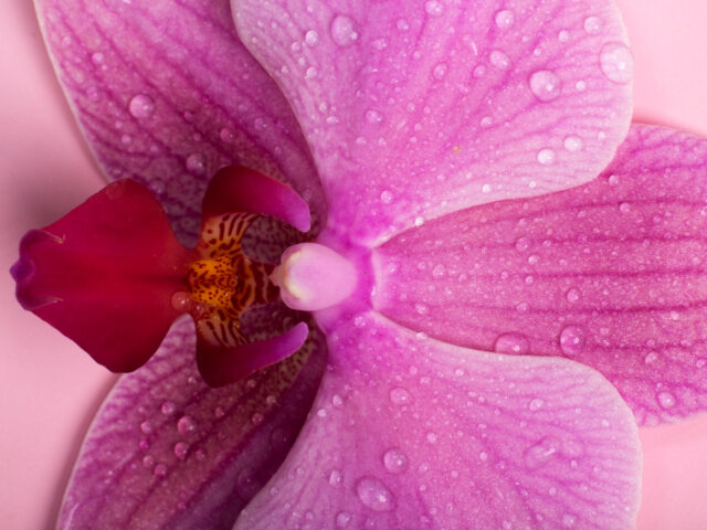 Labia Irritation From Clothing or Exercise? What May Be Causing It and What Can Help