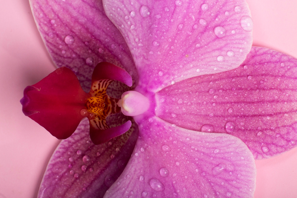 Labia Irritation From Clothing or Exercise? What May Be Causing It and What Can Help